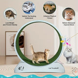 NNETM Pet Fitness Wheel - Interactive Treadmill for Cats and Dogs Grey