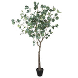 NNEDSZ Eucalyptus Tree (Red Box Eucalyptus Polyanthemos) 150cm