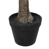 NNEDSZ Eucalyptus Tree (Red Box Eucalyptus Polyanthemos) 150cm