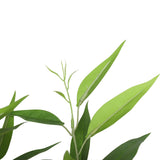 NNEDSZ Artificial Eucalyptus Tree (White Box Eucalyptus Albens) 120cm