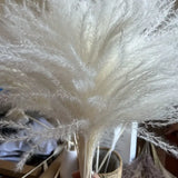 NNETM Real Touch Dried Flower Set - 50pcs Artificial Rabbit Tail Reed Set (90cm)