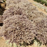 NNETM Real Touch Dried Flower Set - 50pcs Artificial Rabbit Tail Reed Set (90cm)