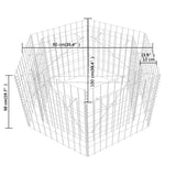 NNEVL Hexagonal Gabion Raised Bed 100x90x50 cm