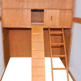 NNEVL Chicken Coop Wood 295x163x170 cm