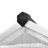 NNEVL Greenhouse Reinforced Aluminium 10.53 m²