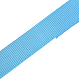 NNEVL Ratchet Tie Down Straps 10 pcs 0.8 Tonnes 4mx25mm Blue