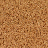 NNEVL Doormat Coir 24 mm 100x100 cm Natural