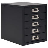 NNEVL Filing Cabinet with 5 Drawers Metal 28x35x35 cm Black