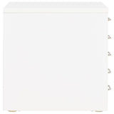 NNEVL Filing Cabinet with 5 Drawers Metal 28x35x35 cm White