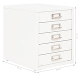 NNEVL Filing Cabinet with 5 Drawers Metal 28x35x35 cm White