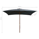 NNEVL Outdoor Parasol with Wooden Pole 200x300 cm Anthracite