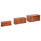 NNEVL Storage Chests 3 pcs Solid Acacia Wood