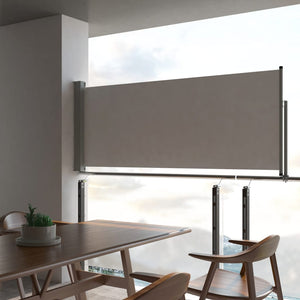 NNEVL Patio Retractable Side Awning 100 x 300 cm Grey