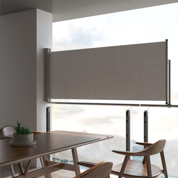 NNEVL Patio Retractable Side Awning 100 x 300 cm Grey