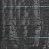 NNEVL Weed & Root Control Mat PP 1x100 m Black