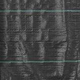 NNEVL Weed & Root Control Mat PP 2x10 m Black