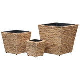 NNEVL Garden Raised Beds 3 pcs Water Hyacinth