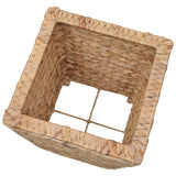 NNEVL Garden Raised Beds 3 pcs Water Hyacinth