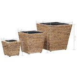 NNEVL Garden Raised Beds 3 pcs Water Hyacinth
