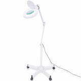NNEVL Standing Magnifying Lamp