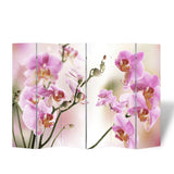 NNEVL Folding Room Divider Print 217x170cm Flower
