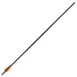 NNEVL Standard Compound Bow Arrows 30" 0.8 cm Fiberglass 12 pcs