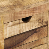 NNEVL TV Cabinet 120x30x40 cm Solid Mango Wood