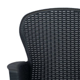 NNEVL Garden Chairs 2 pcs with Cushion Anthracite Plastic Rattan Look