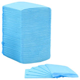 NNEVL Pet Training Pads 400 pcs 45x33 cm Non Woven Fabric