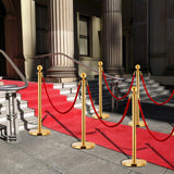 NNEVL 3 Piece VIP Queue Barrier Set Stainless Steel Gold