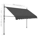 NNEVL Manual Retractable Awning with LED 300 cm Anthracite
