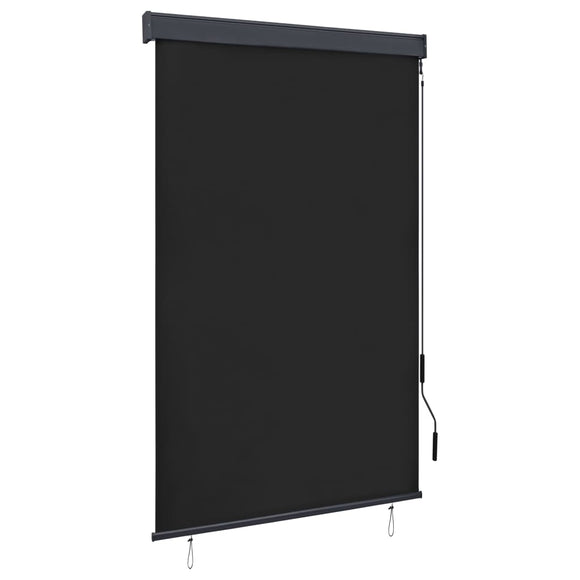 NNEVL Outdoor Roller Blind 120x250 cm Anthracite