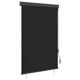 NNEVL Outdoor Roller Blind 120x250 cm Anthracite