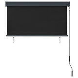 NNEVL Outdoor Roller Blind 120x250 cm Anthracite