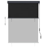 NNEVL Outdoor Roller Blind 120x250 cm Anthracite