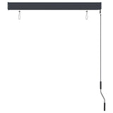 NNEVL Outdoor Roller Blind 120x250 cm Anthracite