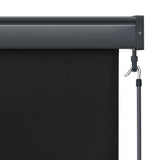 NNEVL Outdoor Roller Blind 120x250 cm Anthracite