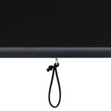 NNEVL Outdoor Roller Blind 120x250 cm Anthracite