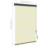 NNEVL Outdoor Roller Blind 120x250 cm Cream
