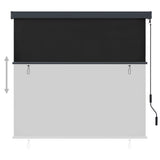 NNEVL Outdoor Roller Blind 160x250 cm Anthracite