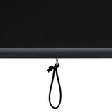 NNEVL Outdoor Roller Blind 160x250 cm Anthracite