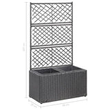 NNEVL Trellis Raised Bed with 2 Pots 58x30x107 cm Poly Rattan Black