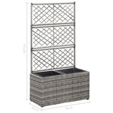 NNEVL Trellis Raised Bed with 2 Pots 58x30x107 cm Poly Rattan Grey