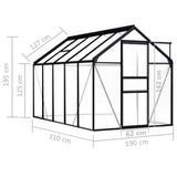 NNEVL Greenhouse Anthracite Aluminium 5.89 m²