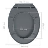 NNEVL Soft-Close Toilet Seat Grey Oval