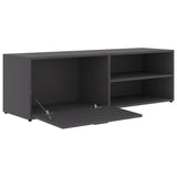 NNEVL TV Cabinet Grey 120x34x37 cm Chipboard