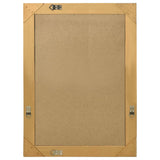 NNEVL Wall Mirror Baroque Style 60x80 cm Gold