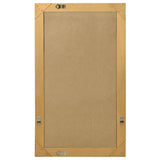 NNEVL Wall Mirror Baroque Style 60x100 cm Gold