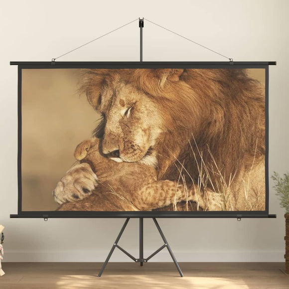 NNEVL Projection Screen 90