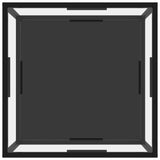 NNEVL Coffee Table Transparent and Black 60x60x35 cm Tempered Glass